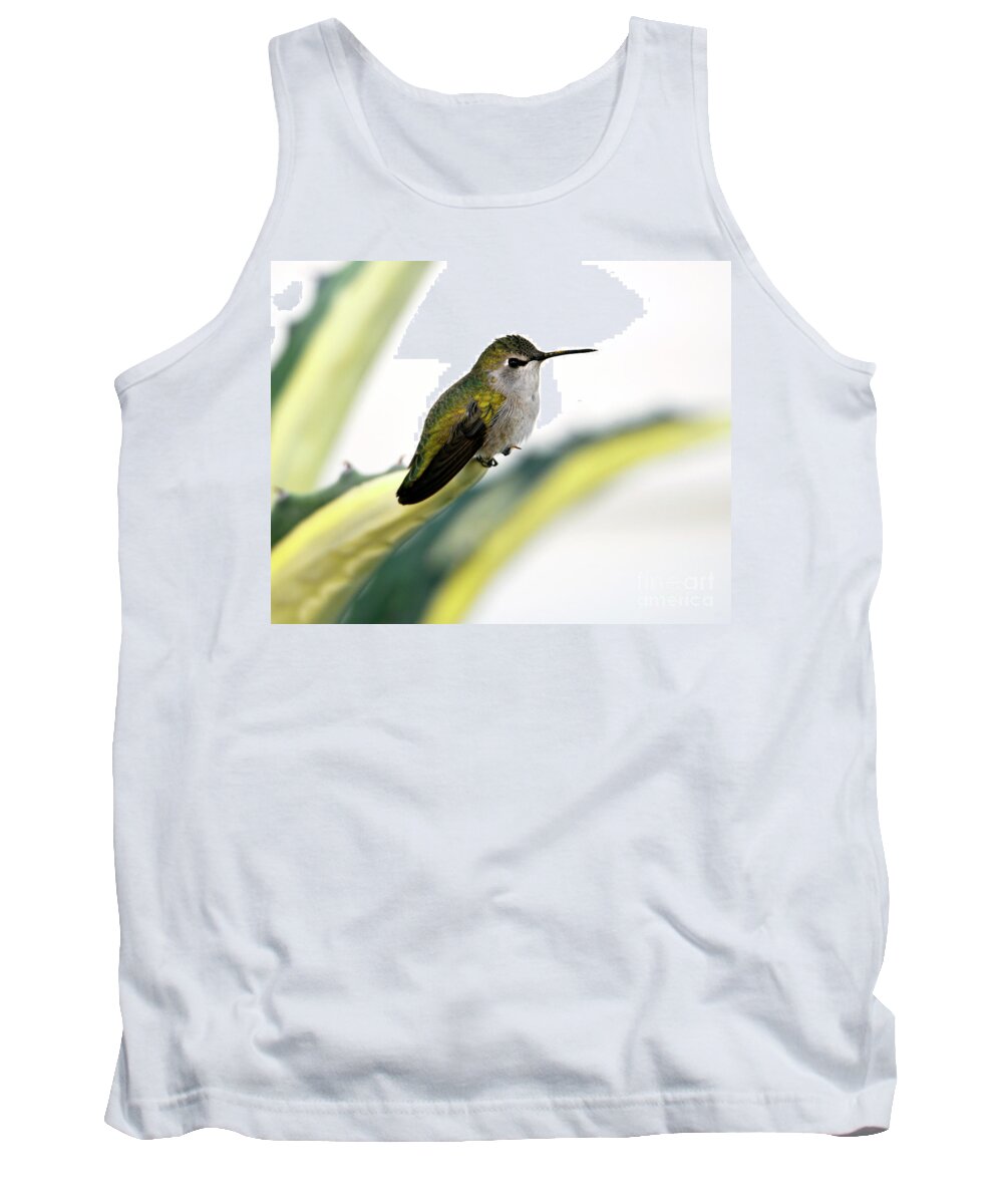 Denise Bruchman Tank Top featuring the photograph Calliope Hummingbird on Agave by Denise Bruchman