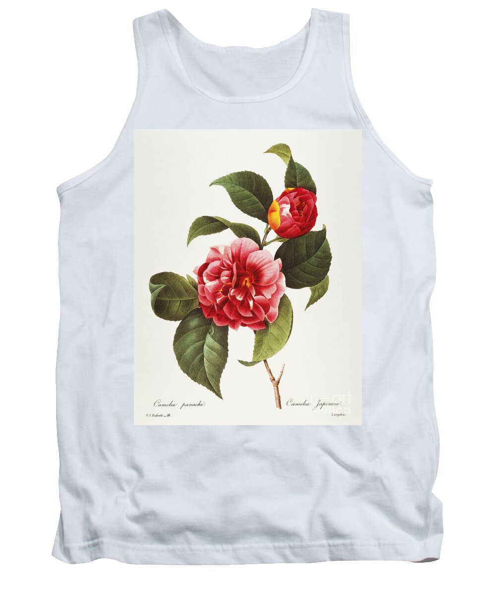 1833 Tank Top featuring the photograph Camellia, 1833 by Granger