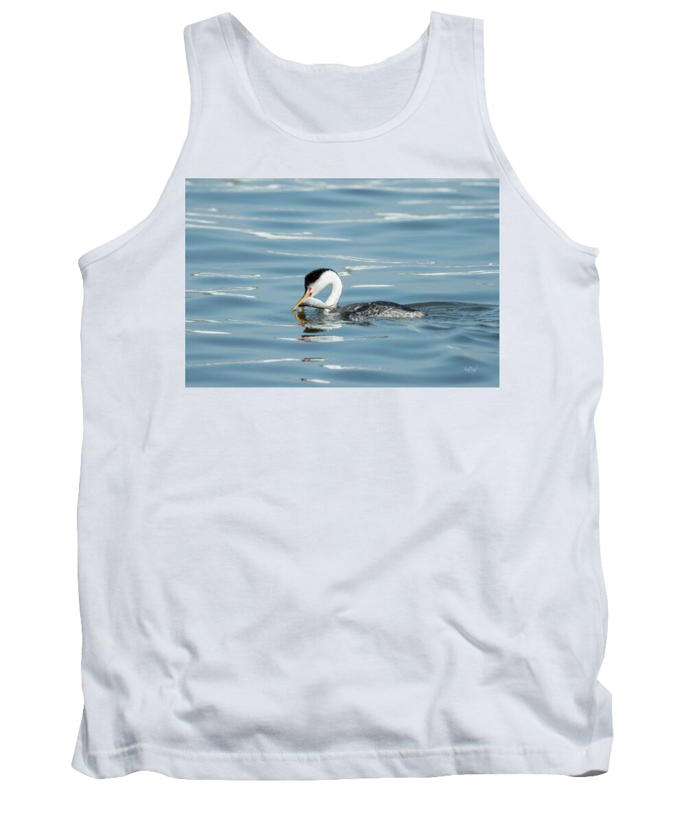 Clarks Grebe Tank Top featuring the photograph Clarks Grebe by Everet Regal