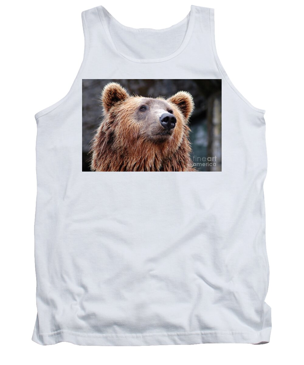 Photography Tank Top featuring the photograph Close Up Bear by MGL Meiklejohn Graphics Licensing