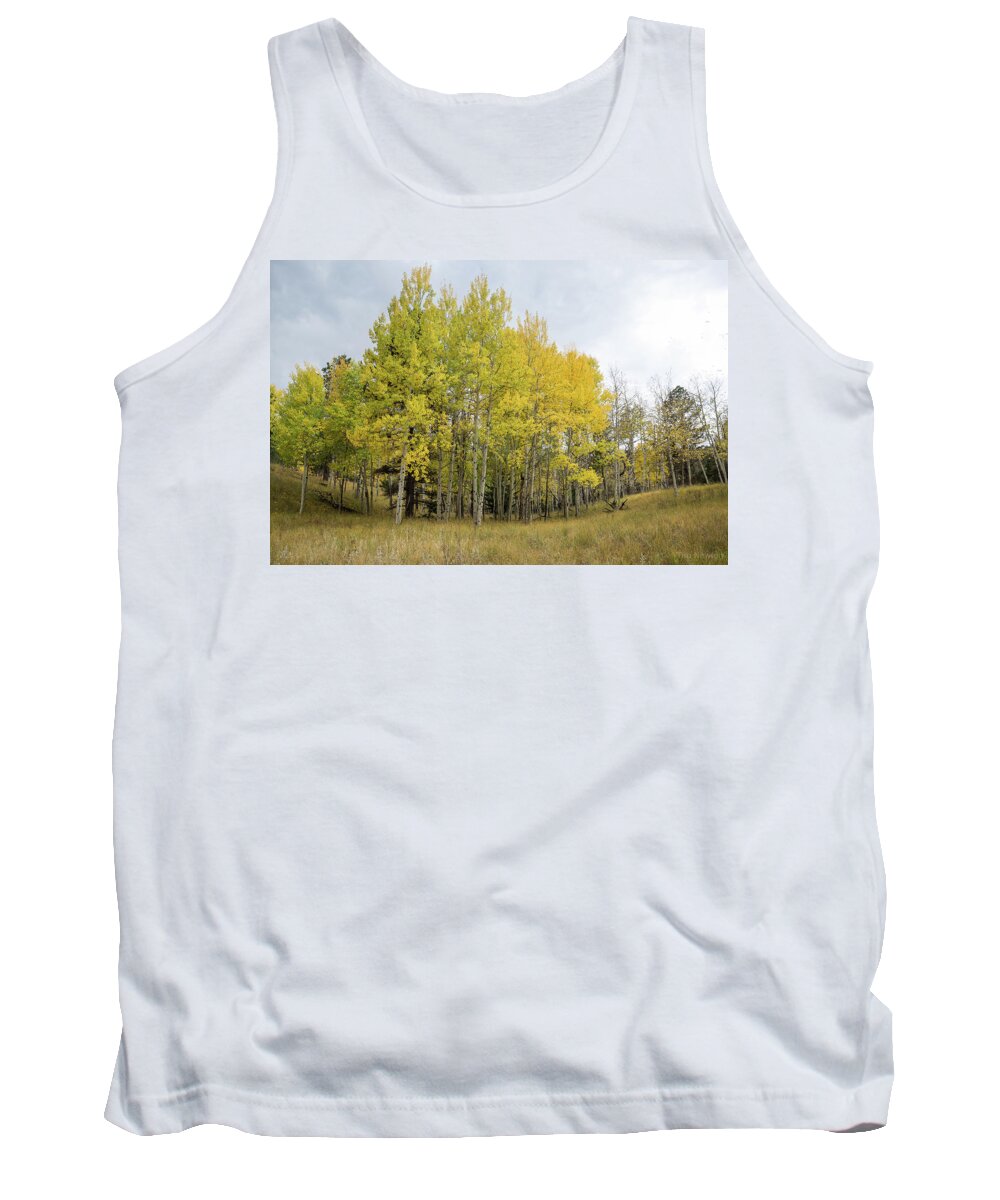 Colorado Tank Top featuring the photograph Colorado Aspens in Autumn by Tim Newton