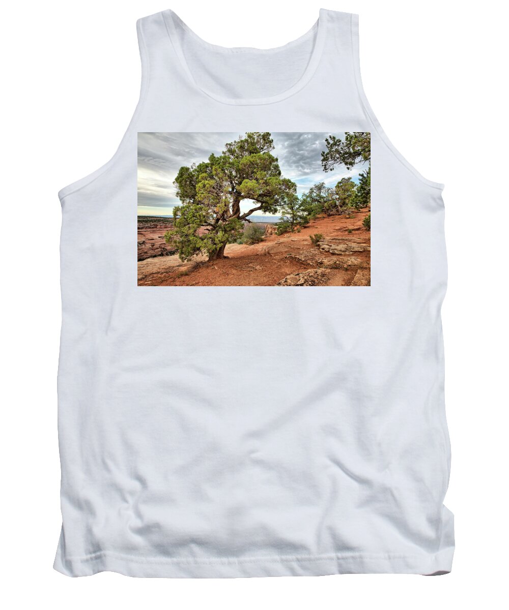 Canyon Tank Top featuring the photograph Colorado National Monument by Kyle Lee