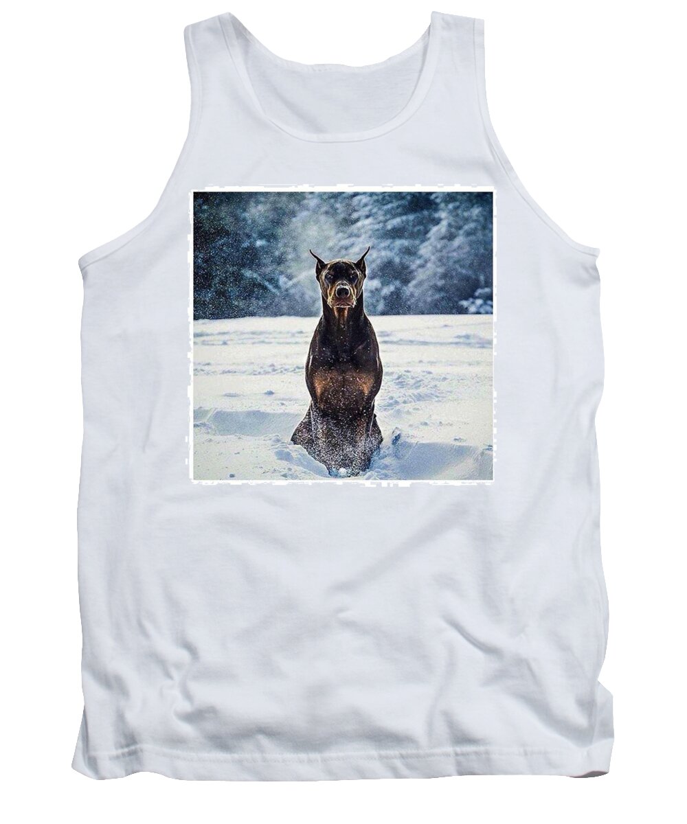 Comment Tank Top featuring the photograph Dog Snow by Andy Bucaille
