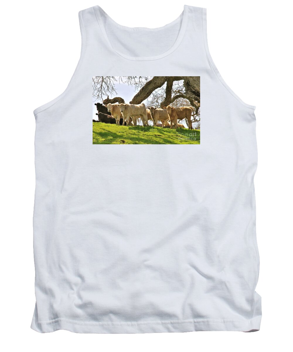 Cows Tank Top featuring the photograph Cows Under Oak #2 by Amy Fearn