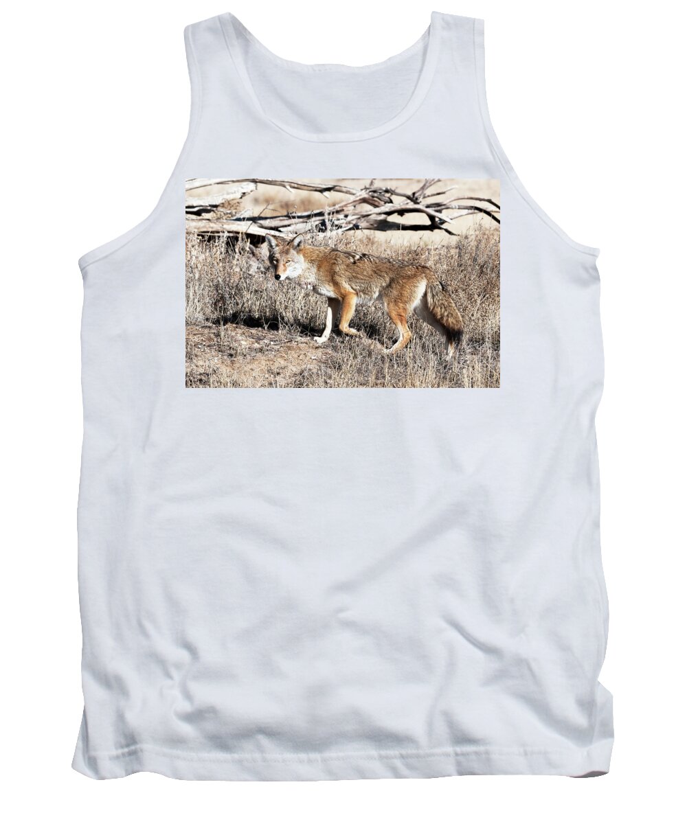 Will Life Tank Top featuring the photograph Coyote by Catherine Lau