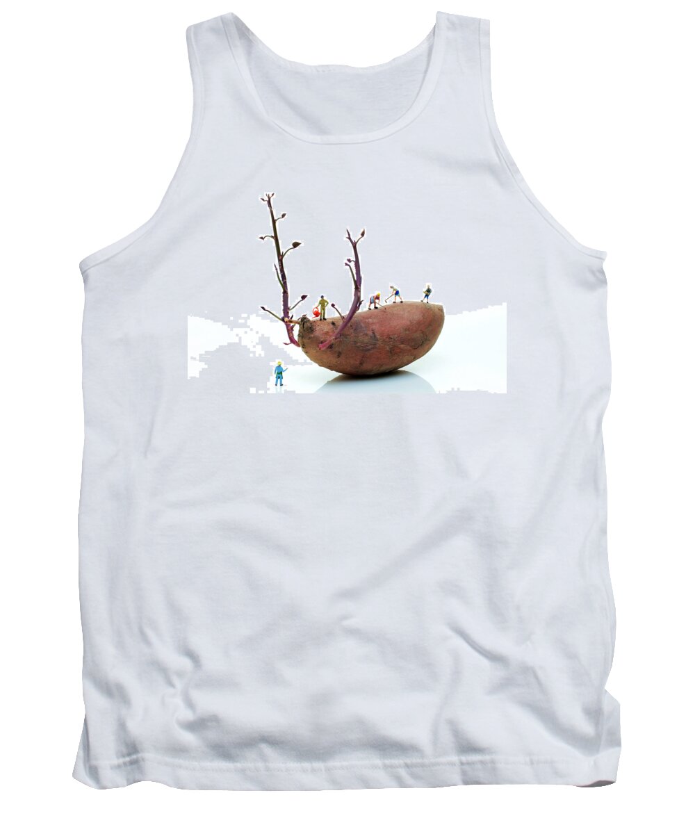 Cultivation Tank Top featuring the photograph Cultivation on a sweet potato by Paul Ge