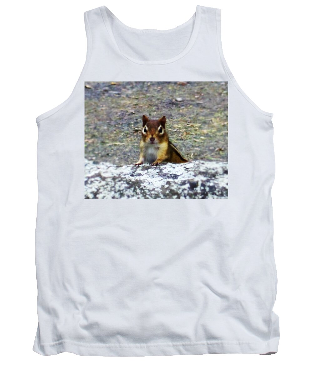 Phots By Paul Meinerth Tank Top featuring the photograph Curious Chipmunk by Paul Meinerth