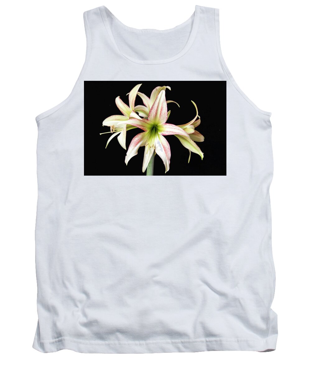 Flower Tank Top featuring the photograph Dainty and soft. by Usha Peddamatham