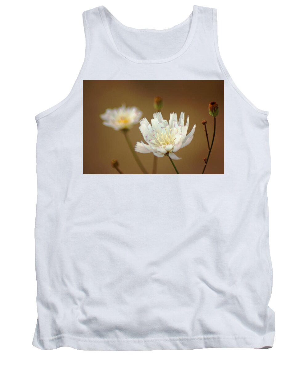 Superbloom 2016 Tank Top featuring the photograph Death Valley Superbloom 303 by Daniel Woodrum