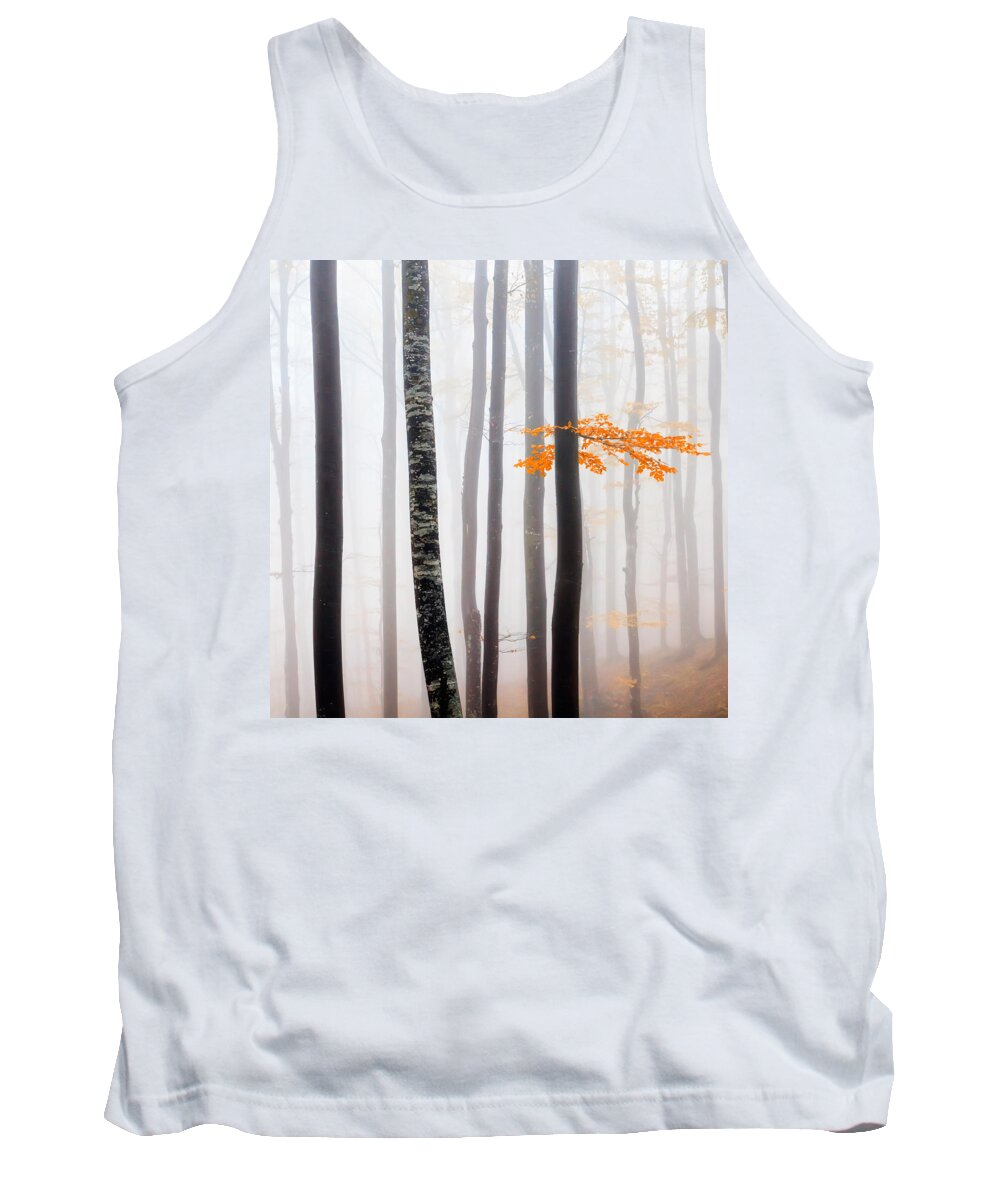 Balkan Mountains Tank Top featuring the photograph Delicate Forest by Evgeni Dinev