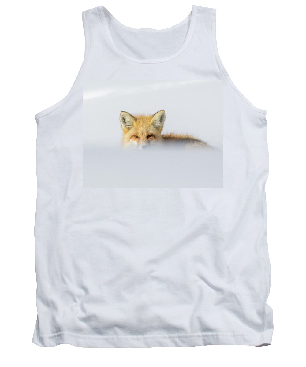 Elk Tank Top featuring the photograph Den Watch II by Kevin Dietrich