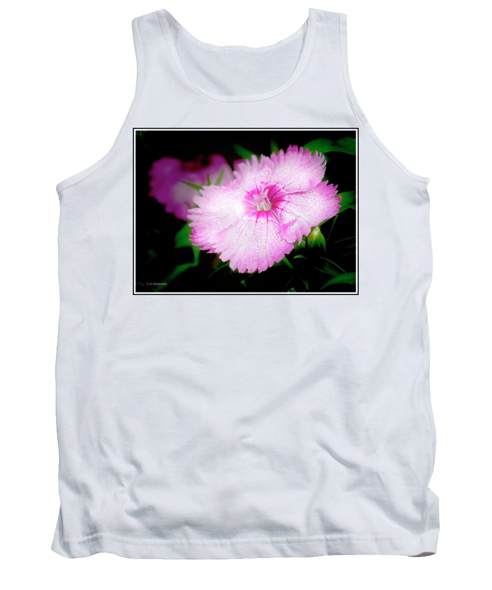 Dianthus Tank Top featuring the photograph Dianthus Flower by A Macarthur Gurmankin