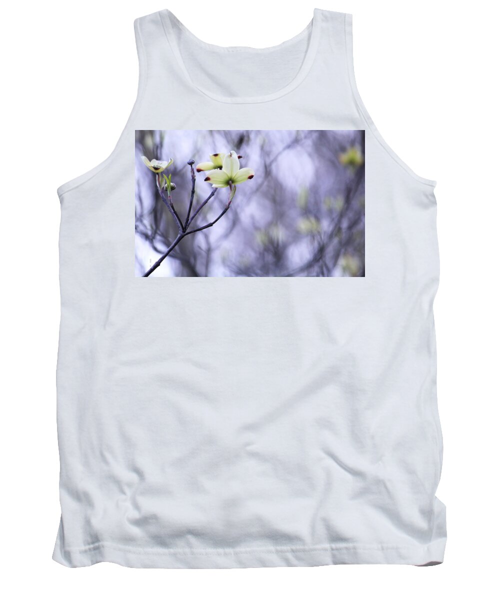 Tree Tank Top featuring the photograph Dogwood by Tammy Schneider