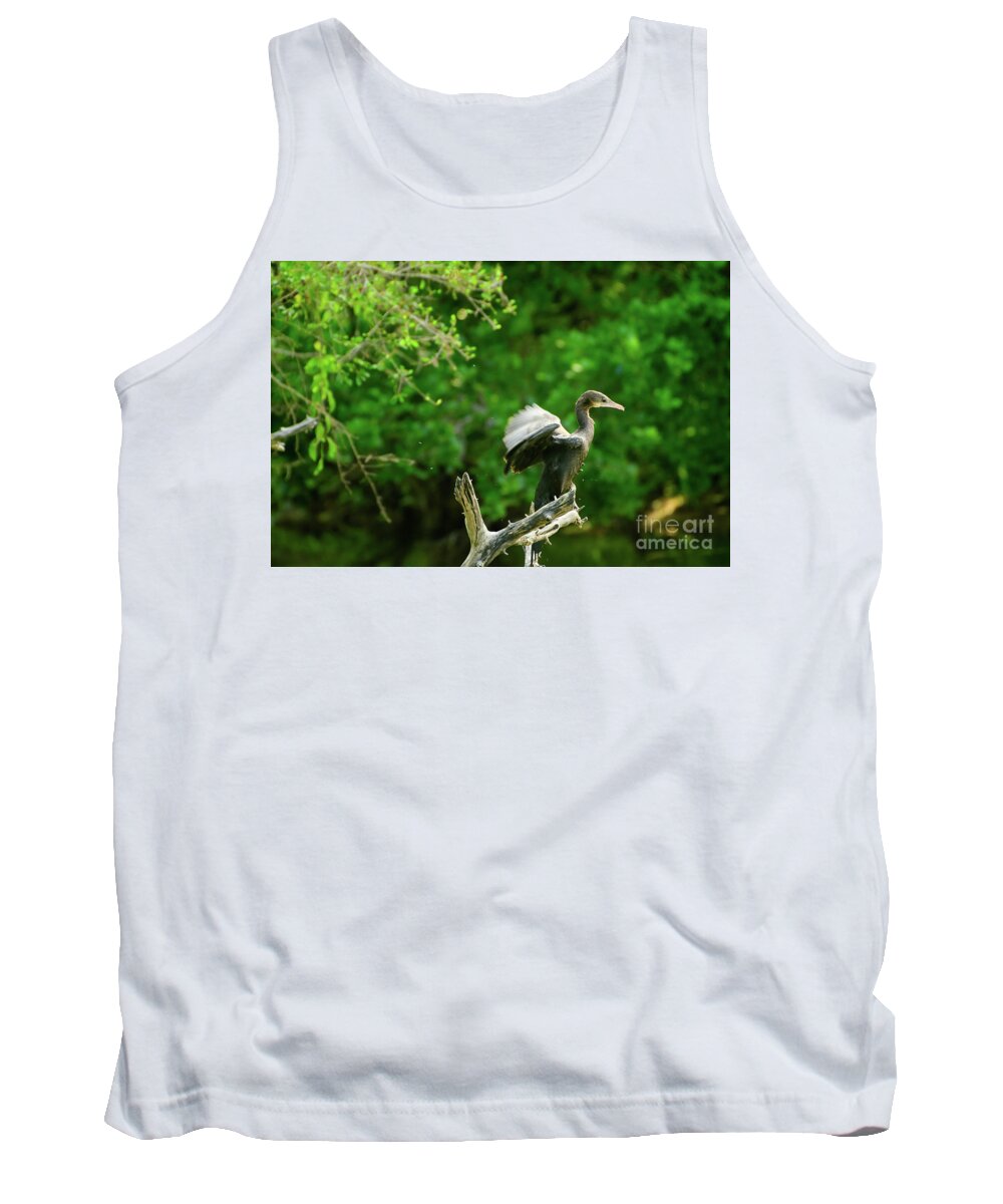 Indian Cormorant Tank Top featuring the photograph Drying Indian Cormorant by Venura Herath