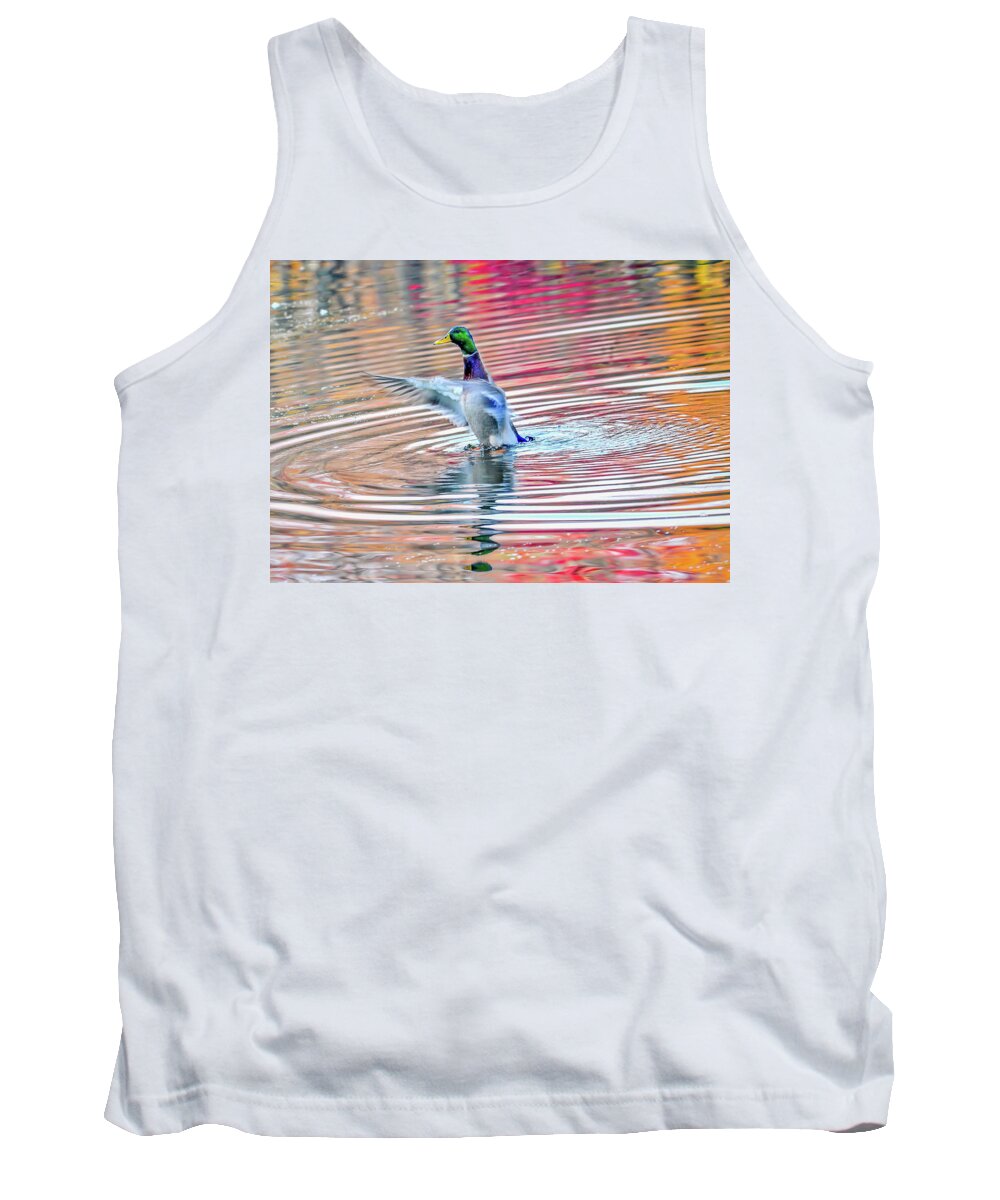 Anas Tank Top featuring the photograph Duck on an Autumn pond in the Chesapeake Bay Maryland by Patrick Wolf