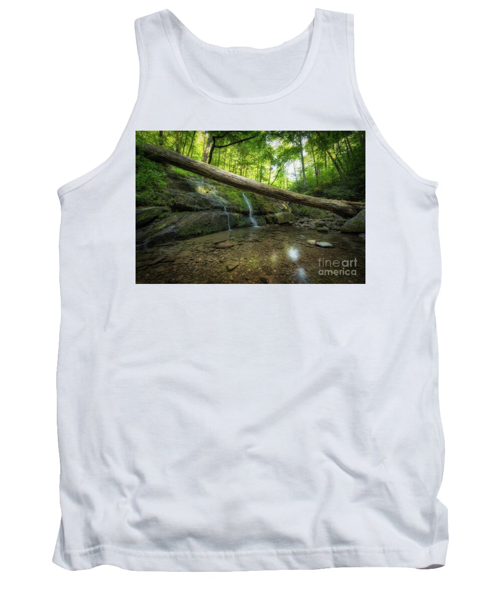 Dunnfield Creek Tank Top featuring the photograph Dunnfield Creek by Michael Ver Sprill