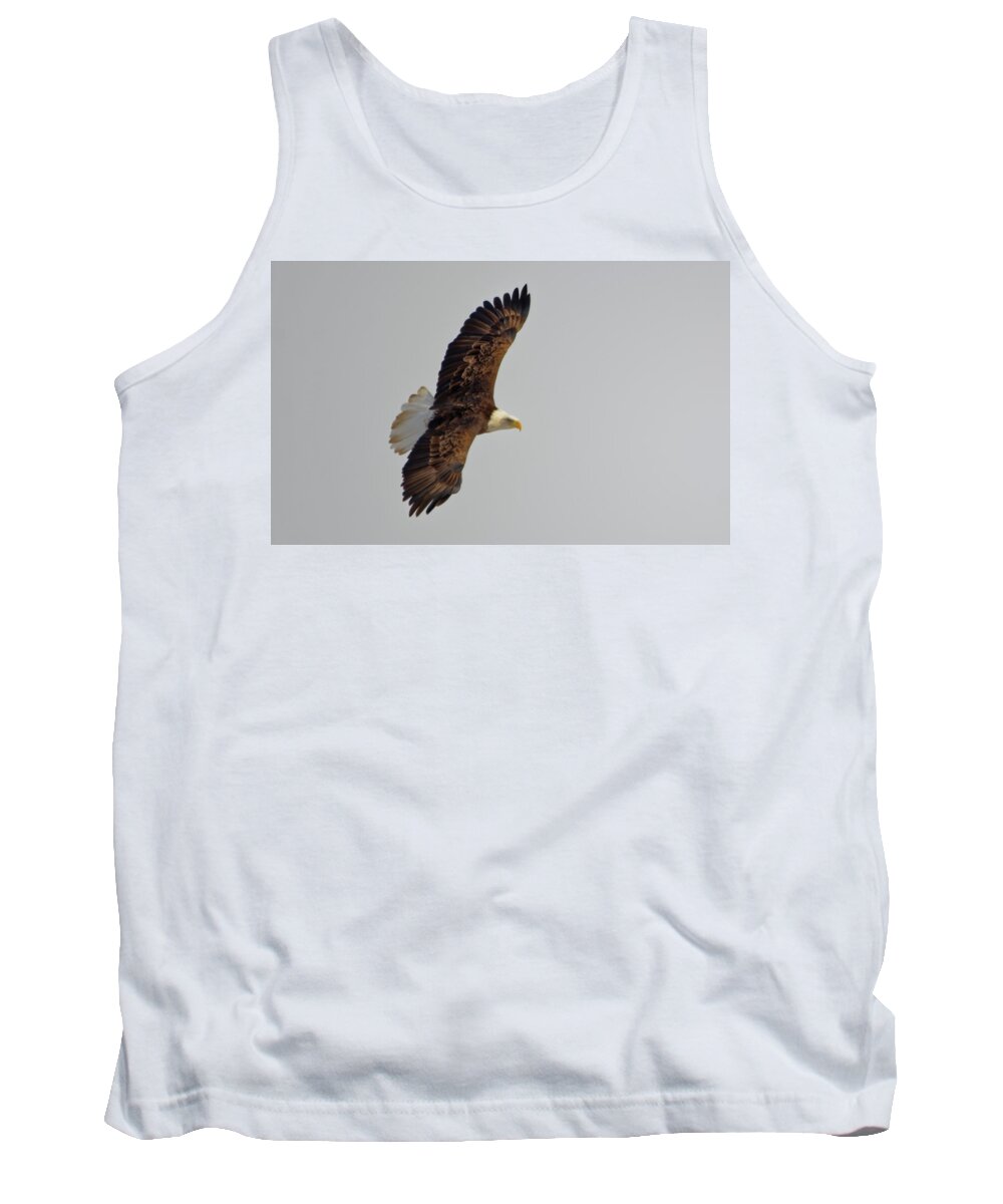 Bald Eagle Tank Top featuring the photograph Eagle in flight by Peter Ponzio