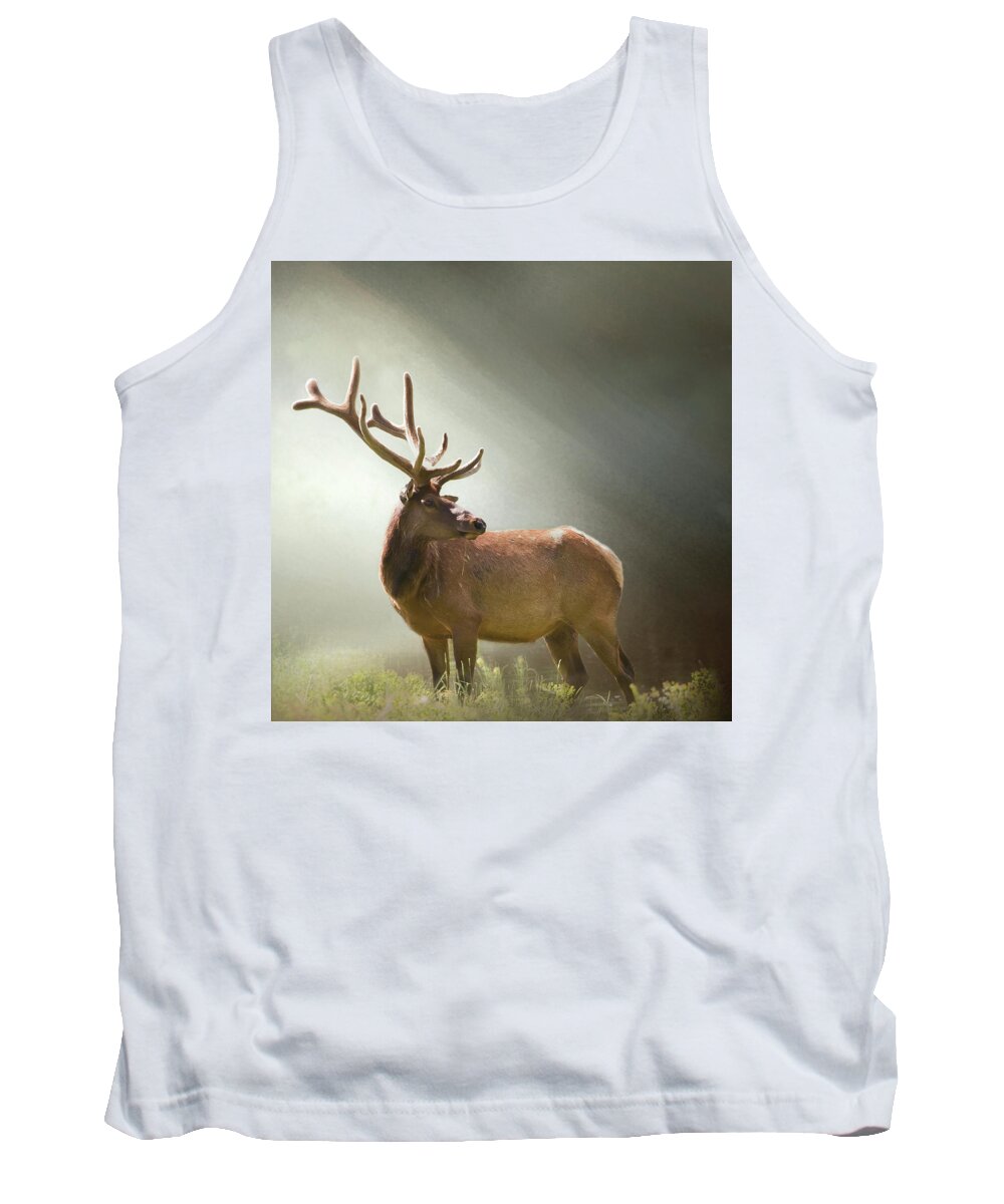 Animal Tank Top featuring the photograph Elk in Suns Rays by David and Carol Kelly
