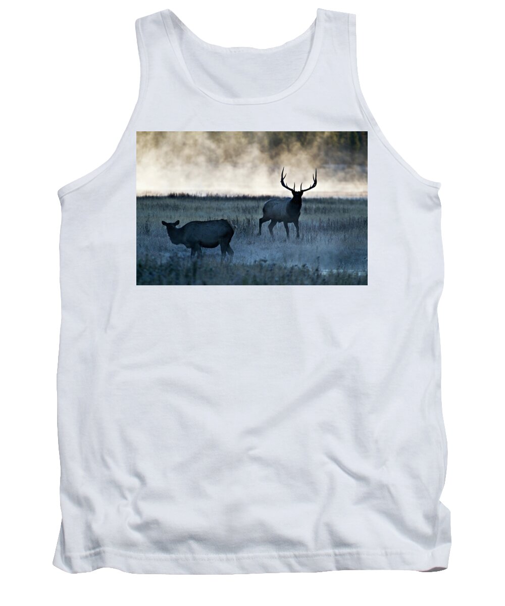 Elk Tank Top featuring the photograph Elk in the Mist by Wesley Aston