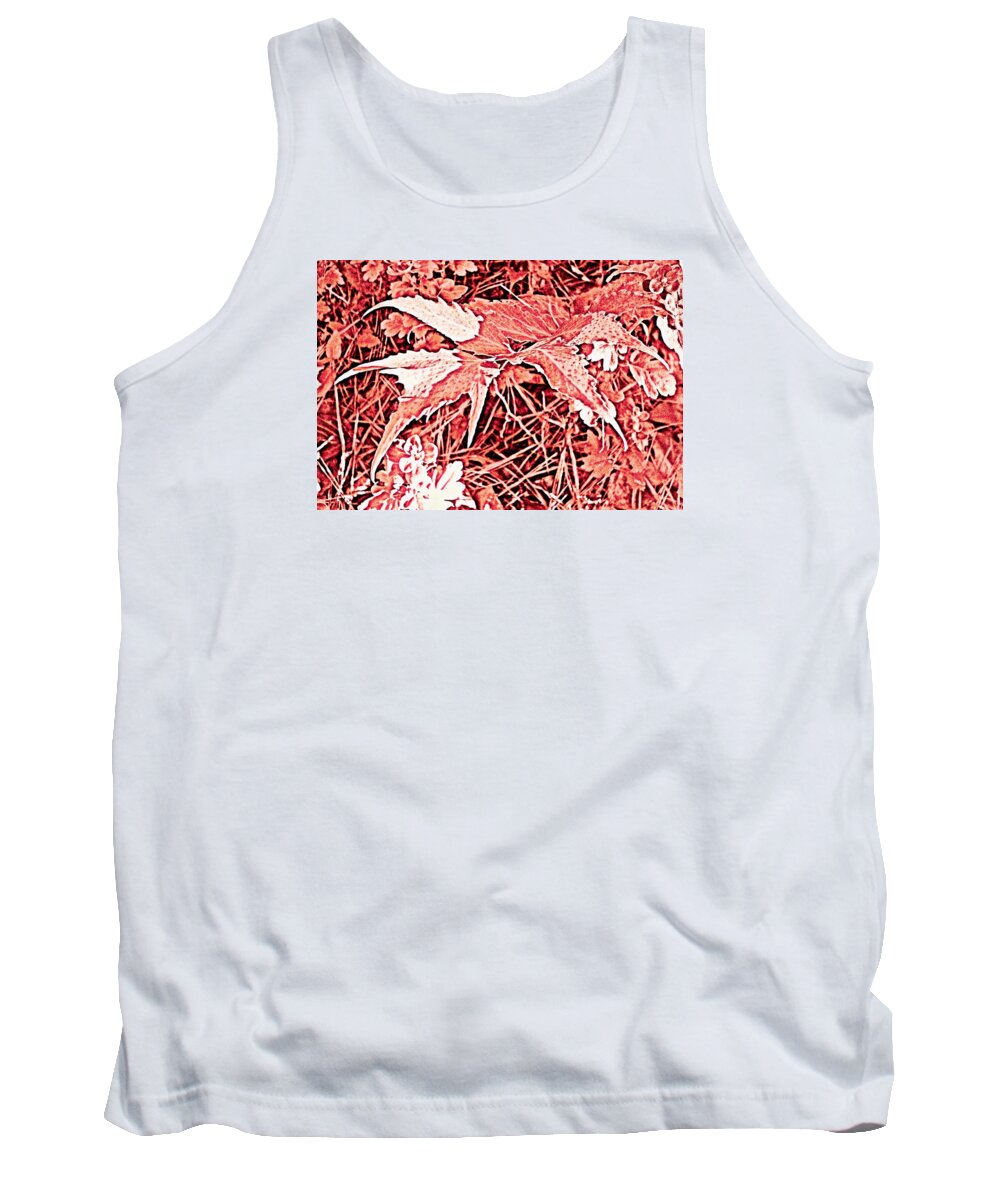 Leaf Tank Top featuring the photograph Extroverted Leaf by Andy Rhodes