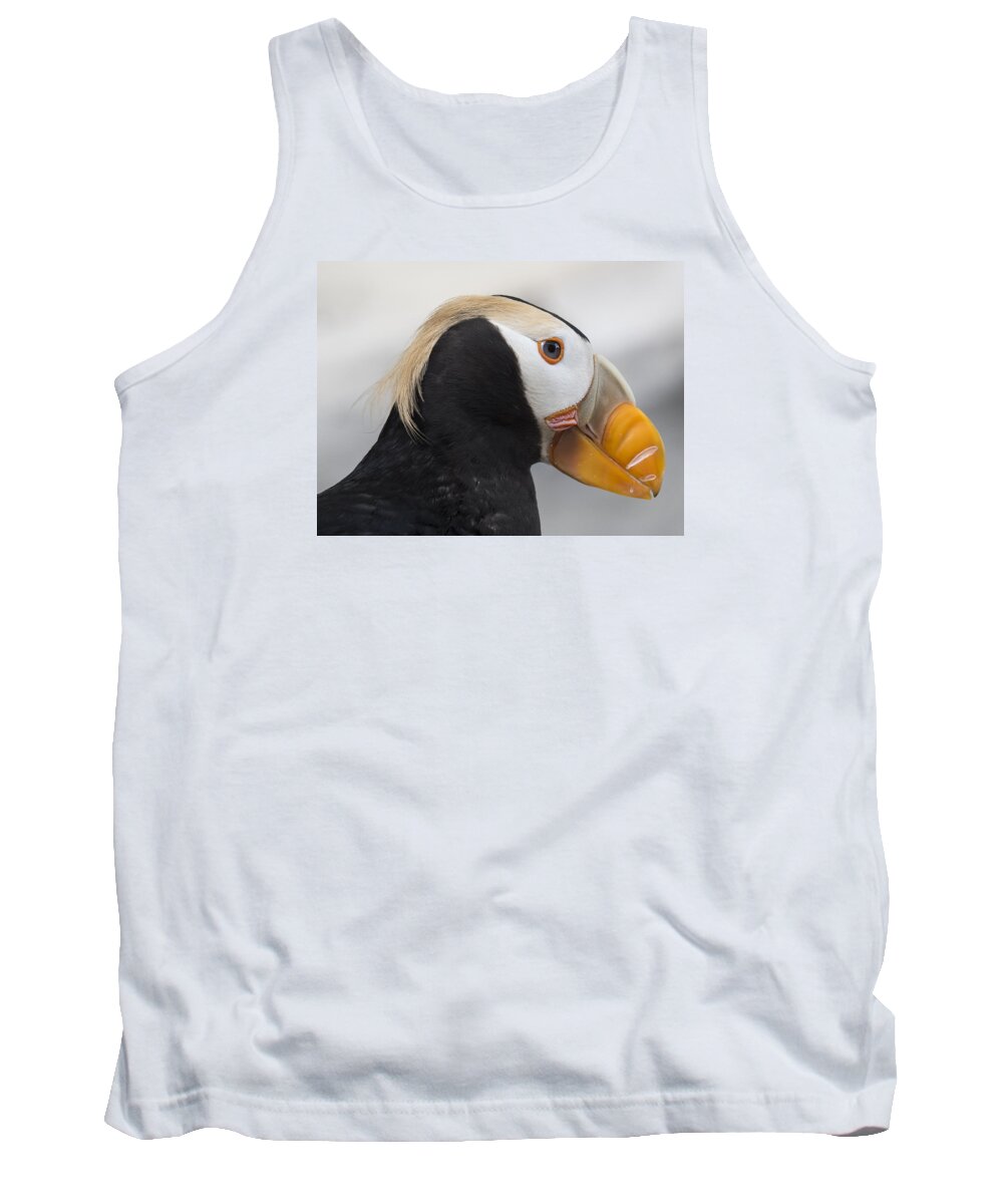Alaska Tank Top featuring the photograph Eyebrows of the Tufted by Ian Johnson
