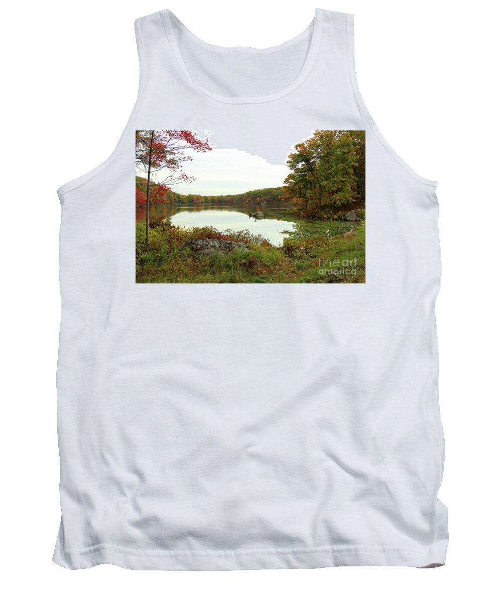 Fall Tank Top featuring the photograph Fall in New York by Les Greenwood