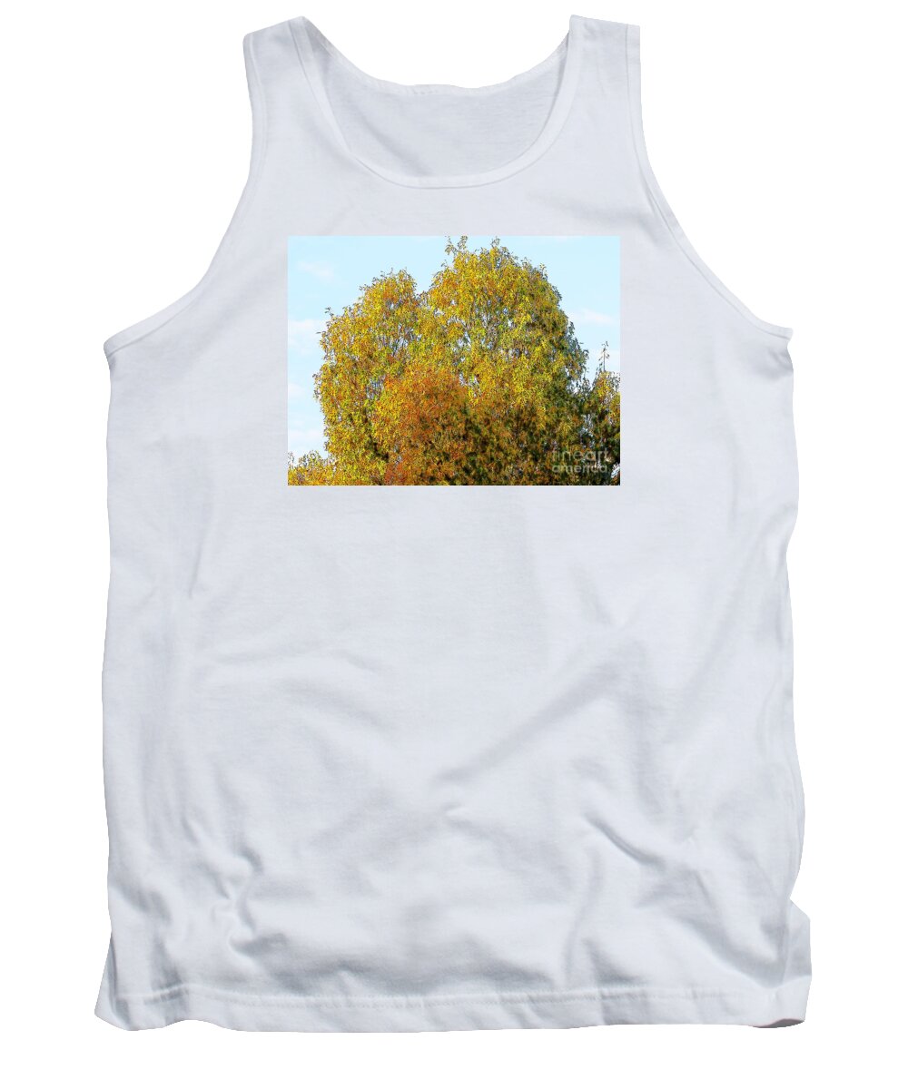 Tree Autumn Color Photo Photograph Green Red Orange Craig Walters Trees Fall Sky Tank Top featuring the digital art Fall Tree by Craig Walters
