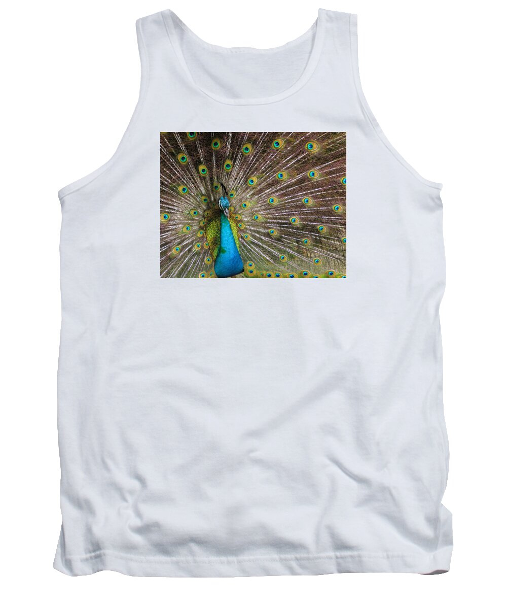 Avian Tank Top featuring the photograph Fanfare by Alana Thrower