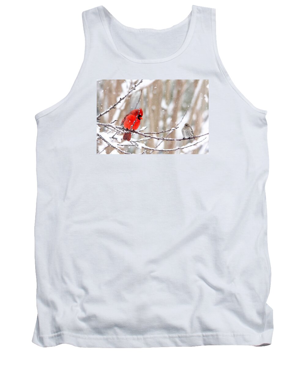 Birds Tank Top featuring the photograph Feathered Friends by Trina Ansel