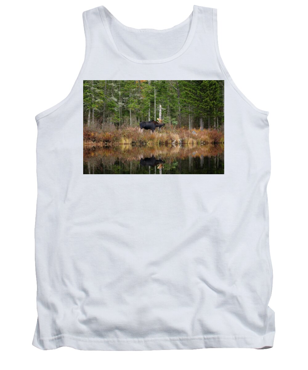 Moose Tank Top featuring the photograph Feeding at the Waters Edge by Duane Cross