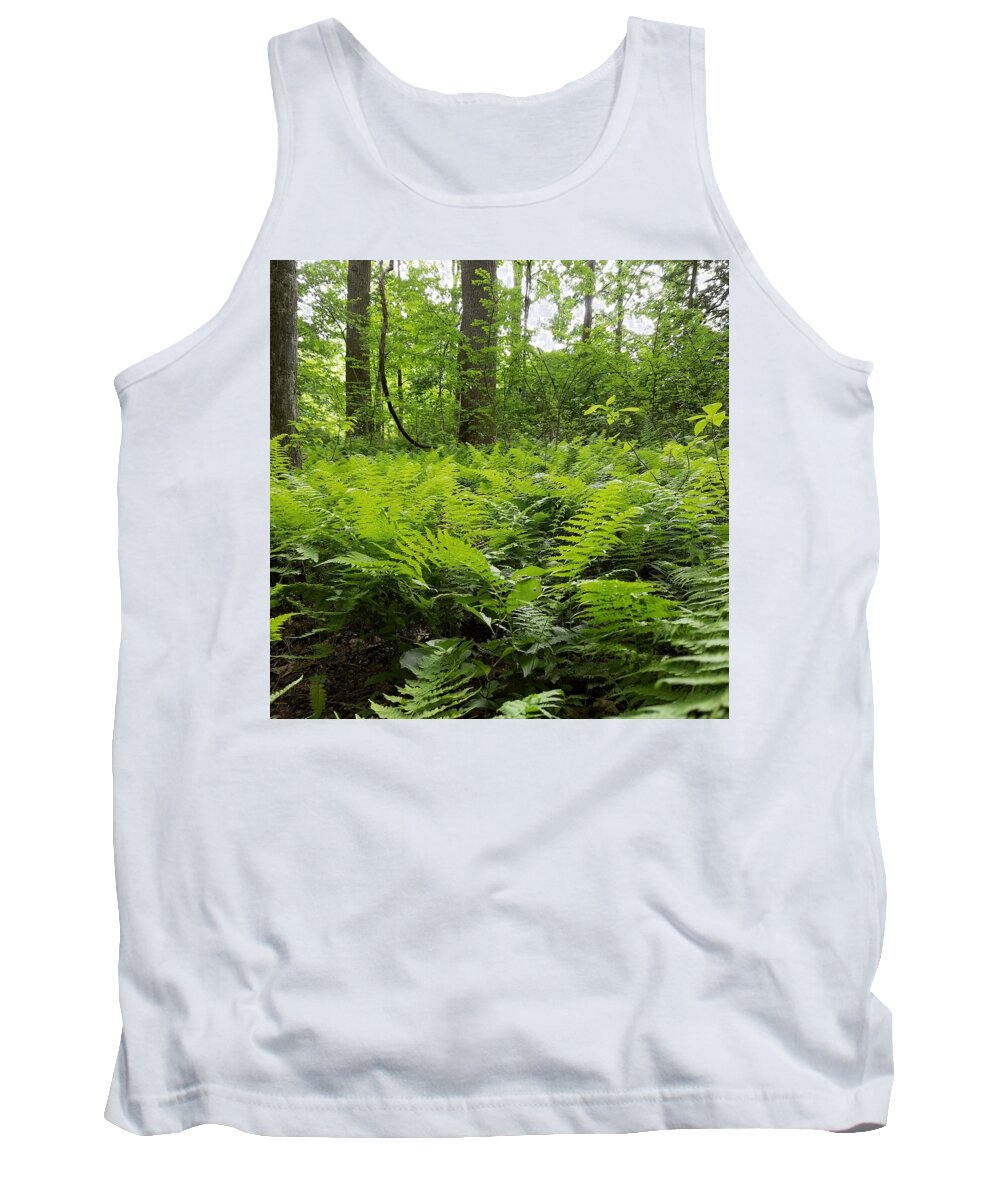 Ferns Tank Top featuring the photograph Fern Woods by Vic Ritchey