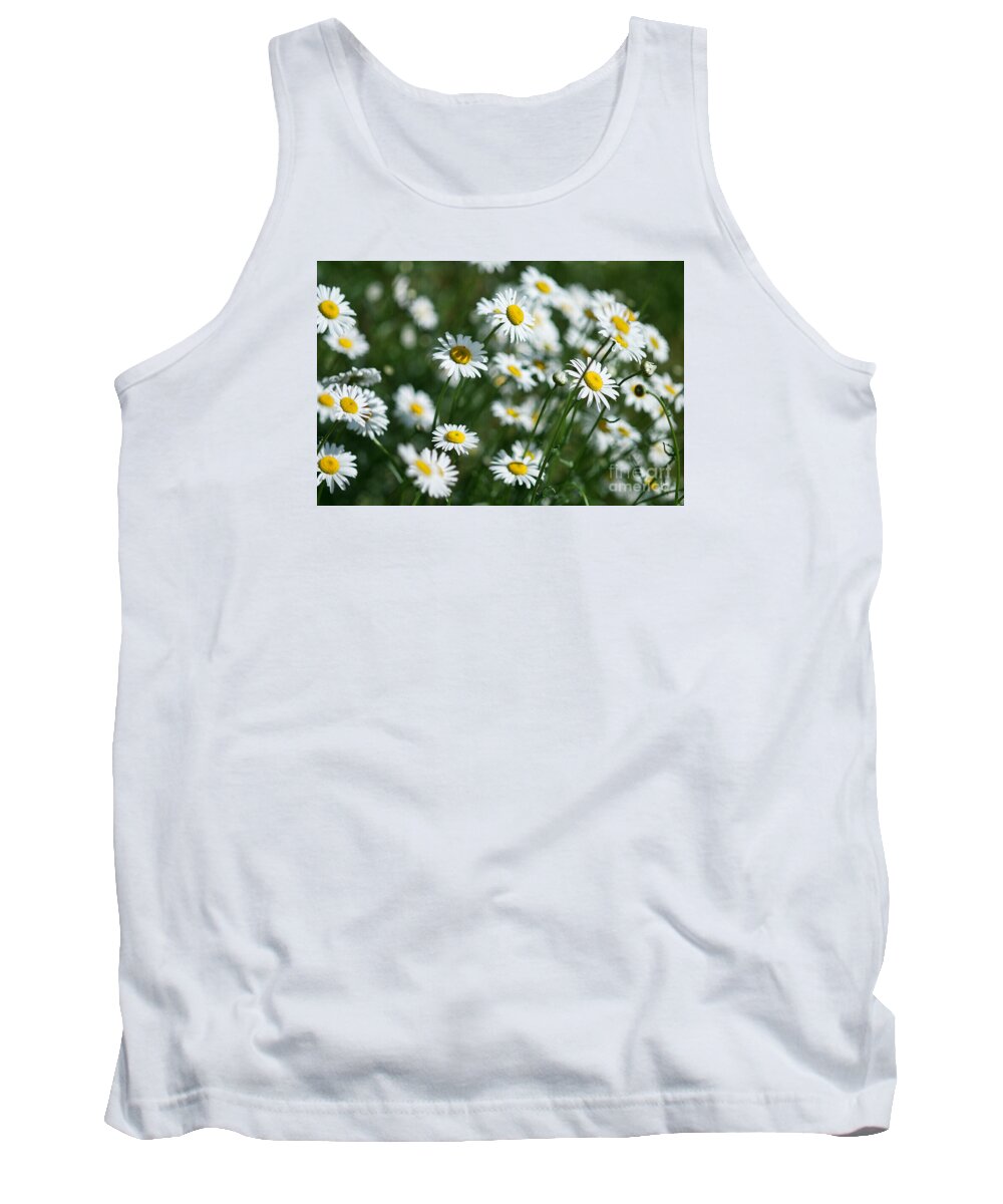 Field Of Daisy's Tank Top featuring the photograph Field of Daisy's by Alana Ranney