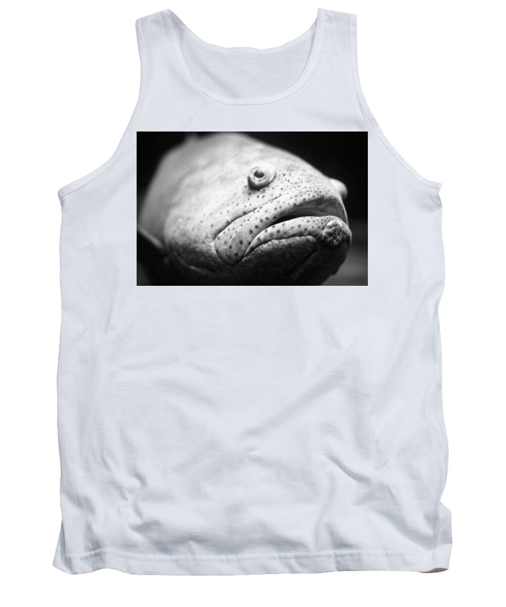 Fine Art Tank Top featuring the photograph Fish Face by Frank DiMarco