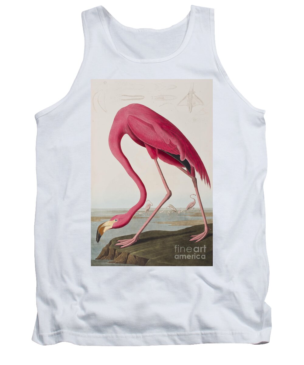 Flamingo Tank Top featuring the painting Flamingo by John James Audubon