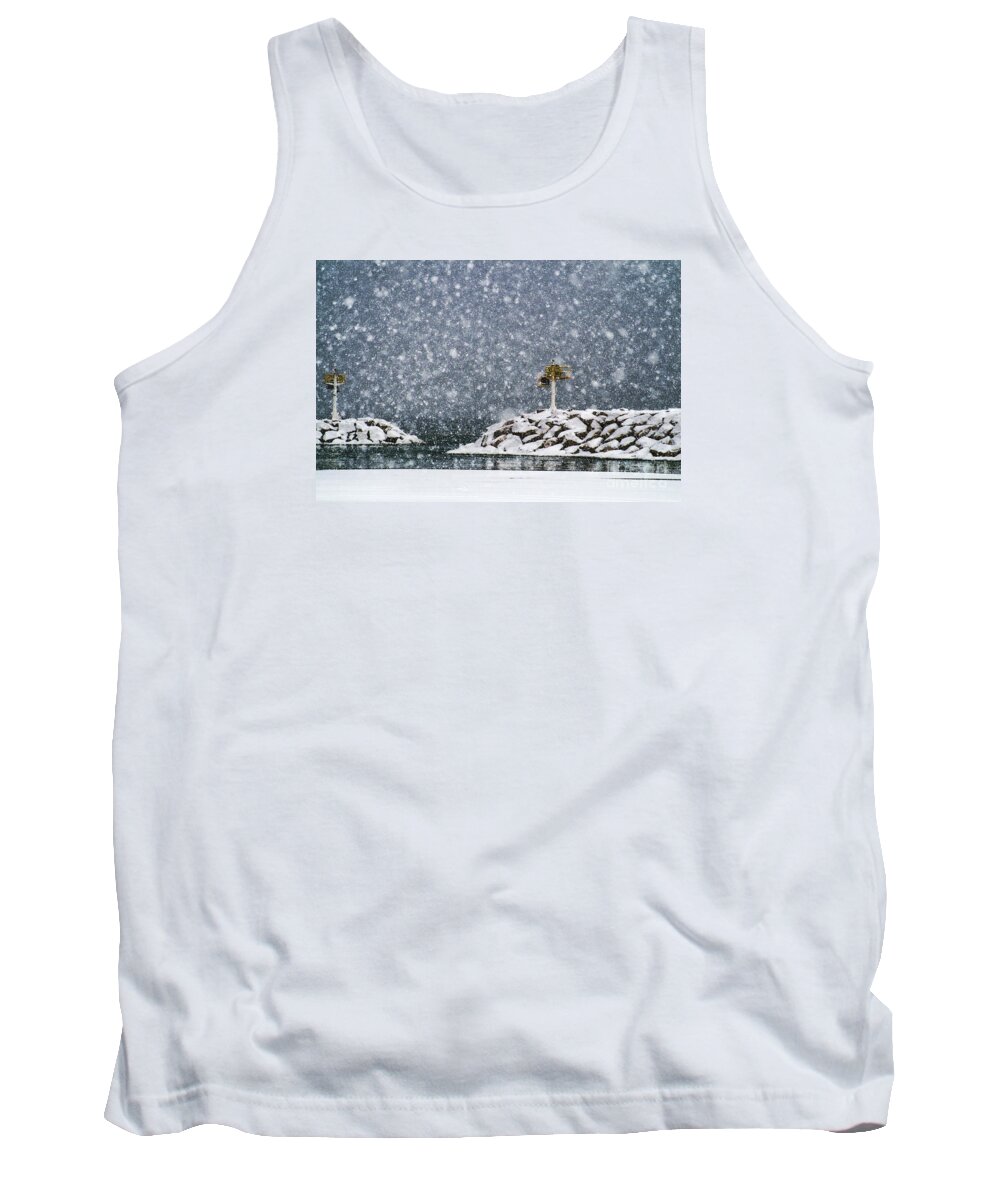 Winter Tank Top featuring the photograph Flurried by Terry Doyle
