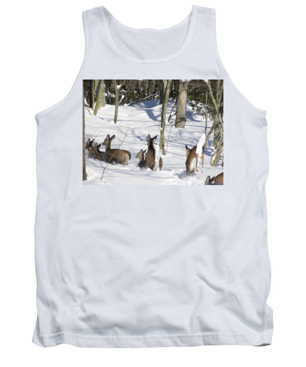 Deer Tank Top featuring the photograph Follow the Leader by Jewels Hamrick