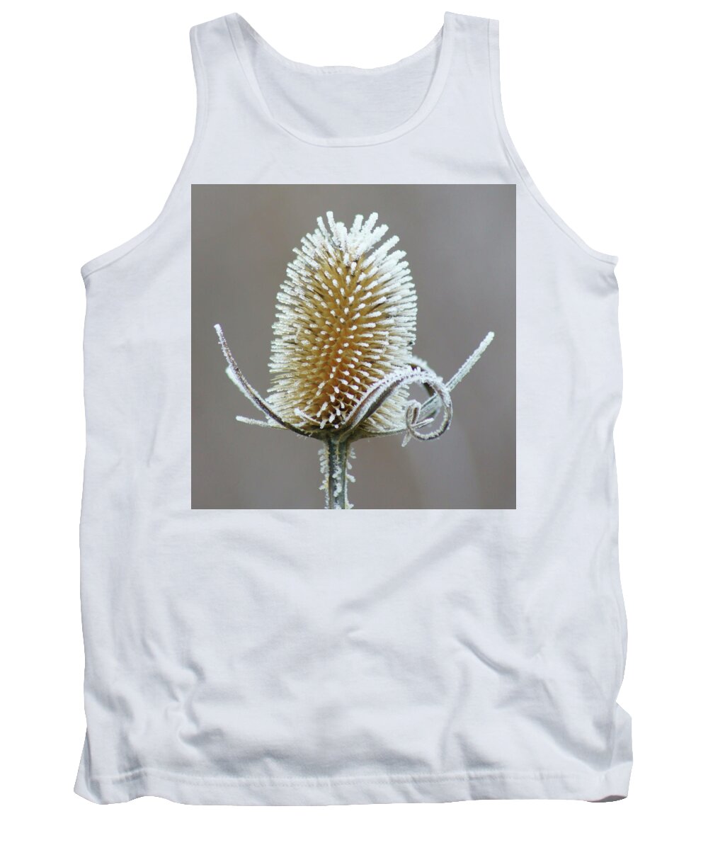 Hoar Frost Tank Top featuring the photograph Frosted Teasel by Nikolyn McDonald