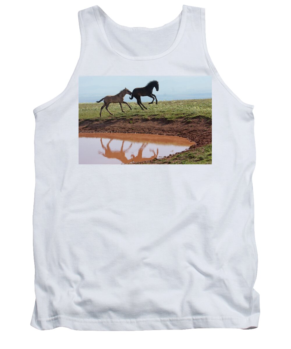 Wild Horse Tank Top featuring the photograph Fun in the Rockies- Wild Horse Foals by Mark Miller
