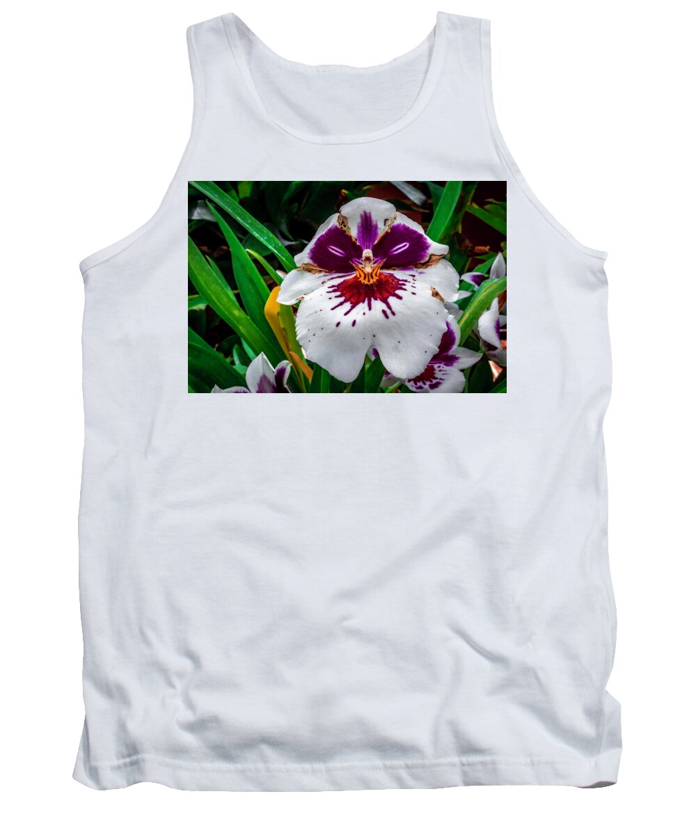 Orchid Tank Top featuring the photograph Funny Face by Kevin Argue