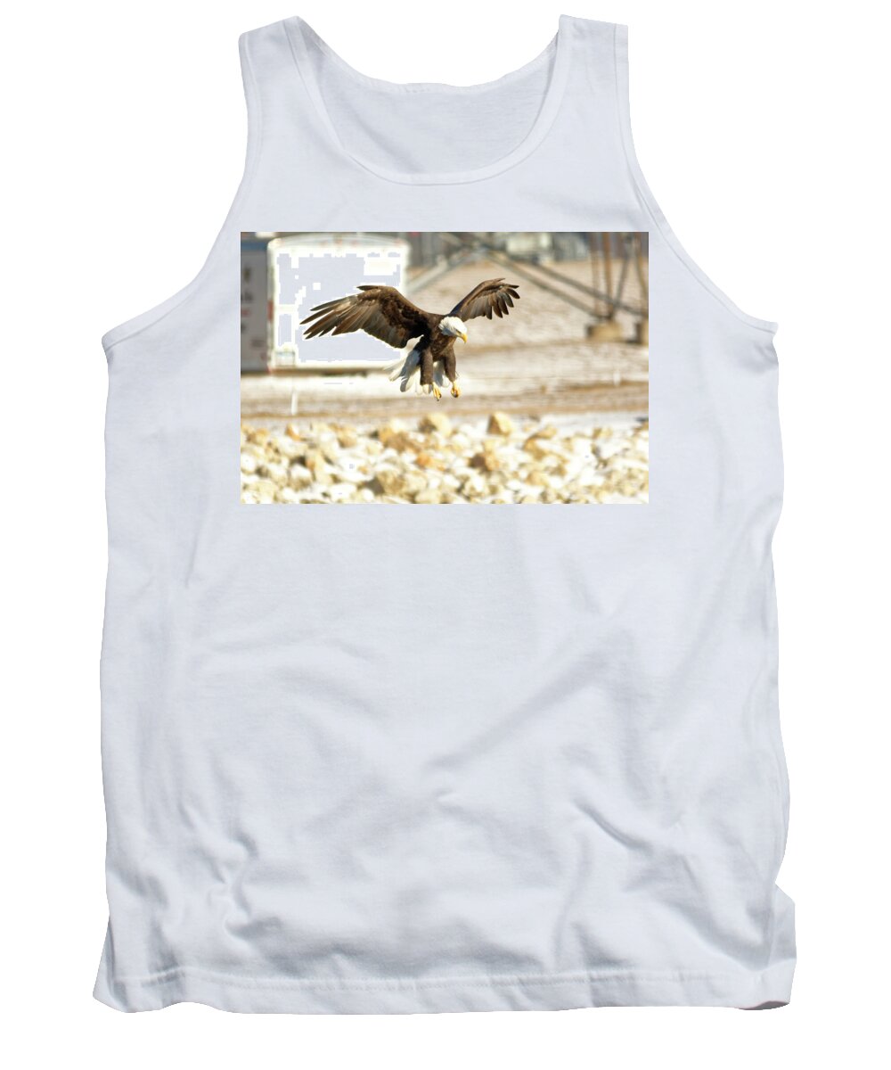 Bald Eagle Tank Top featuring the photograph Getting ready by Peter Ponzio