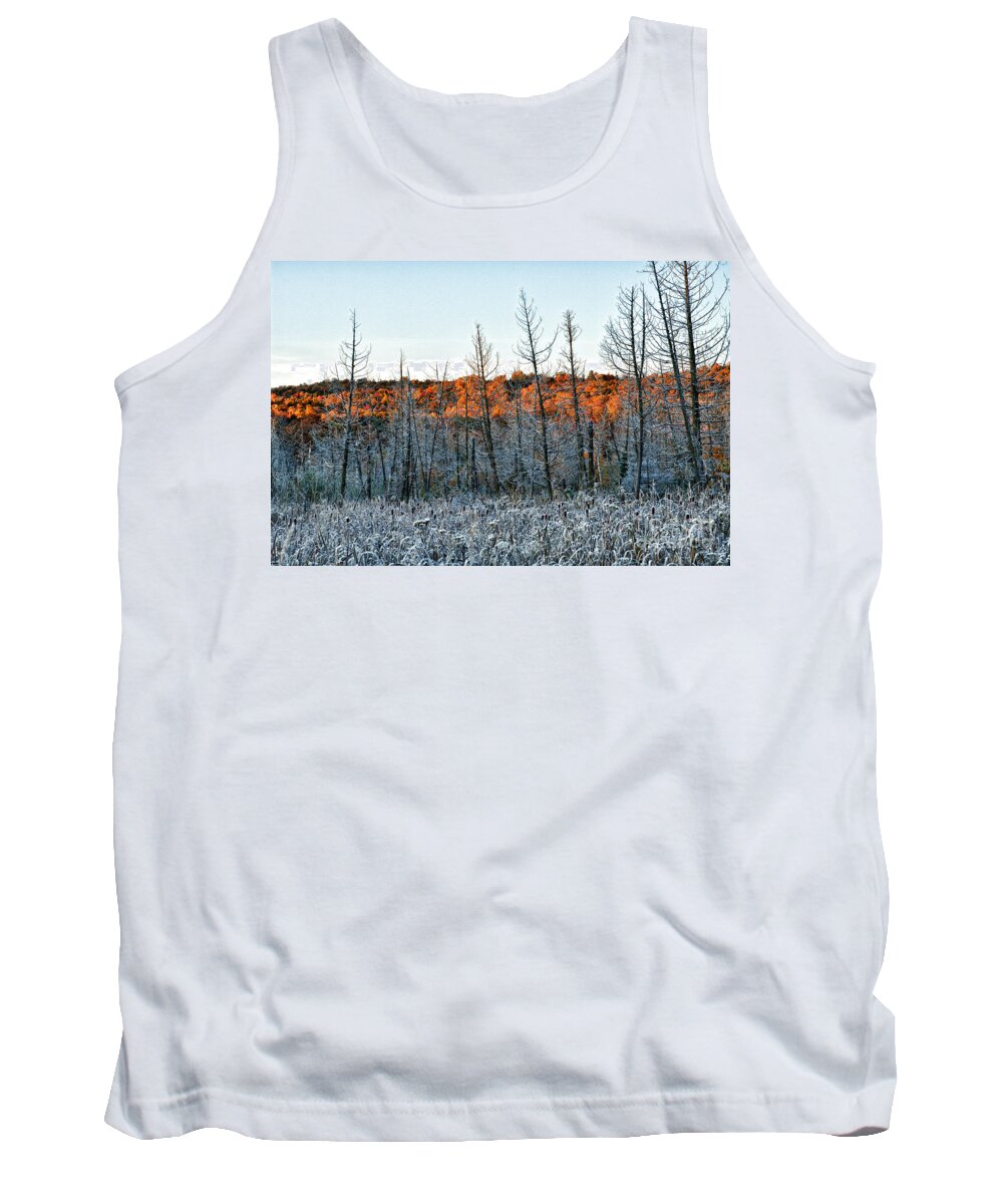 Tank Top featuring the photograph Golden Frost by Doug Gibbons