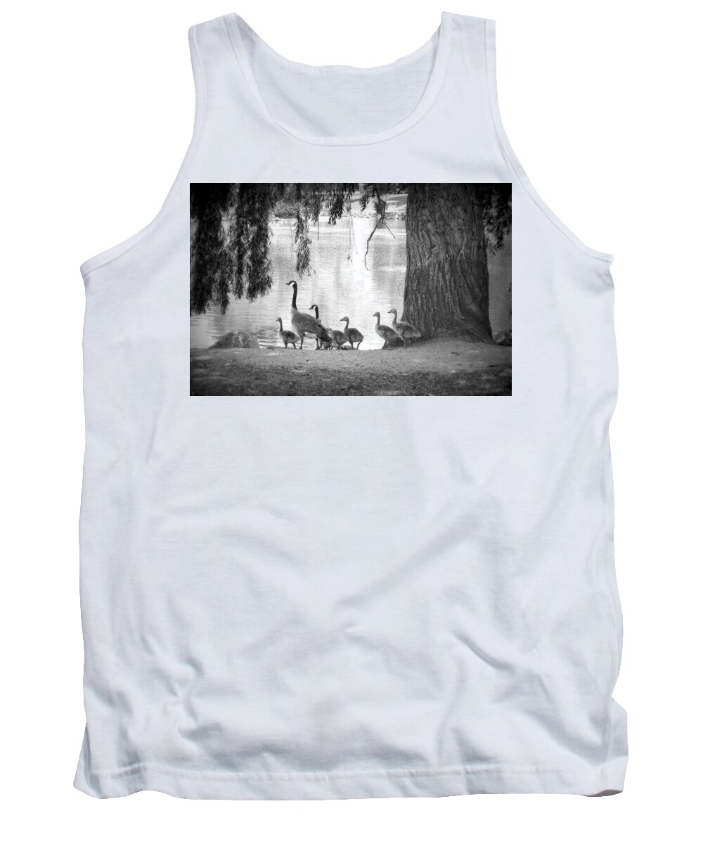 Geese Tank Top featuring the photograph Goslings BW7 by Clarice Lakota
