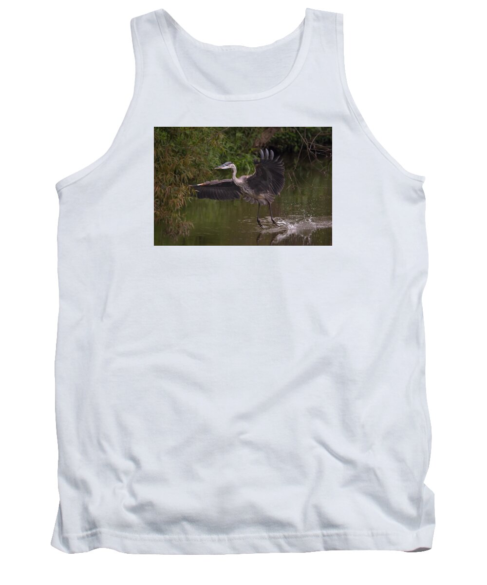 Heron Tank Top featuring the photograph Great Blue Heron Landing by Kevin Giannini