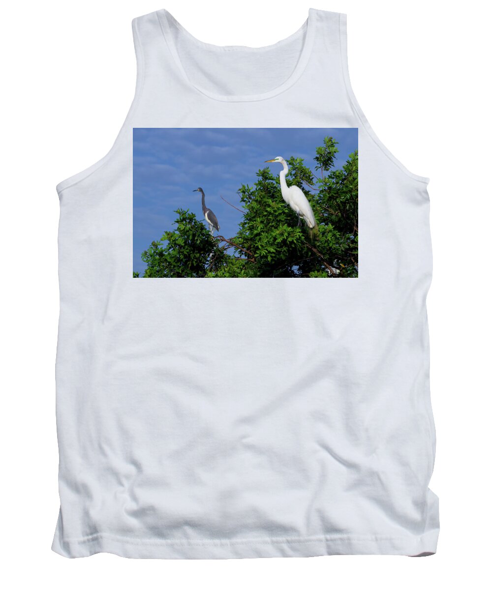 Egret Tank Top featuring the photograph Great Egret by Dillon Kalkhurst
