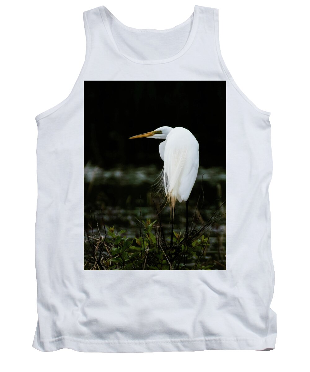 Bird Tank Top featuring the photograph Great Egret by Jody Partin