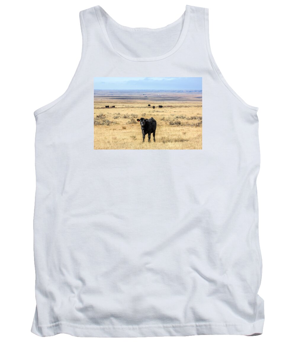 Cattle Tank Top featuring the photograph Great Plains Steer by Todd Klassy