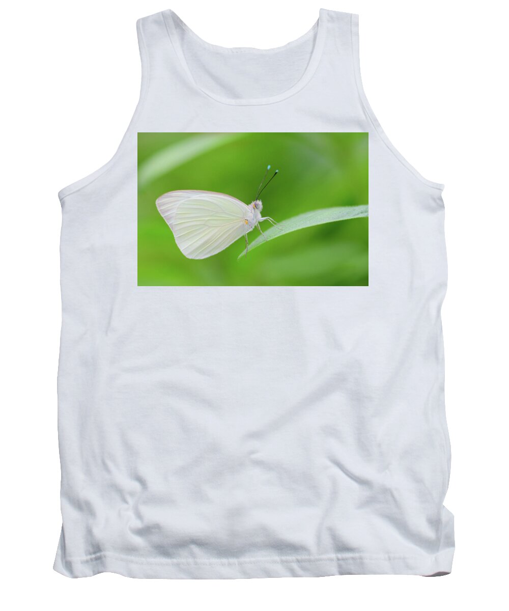 Butterfly Tank Top featuring the photograph Great Southern White Butterfly by Artful Imagery