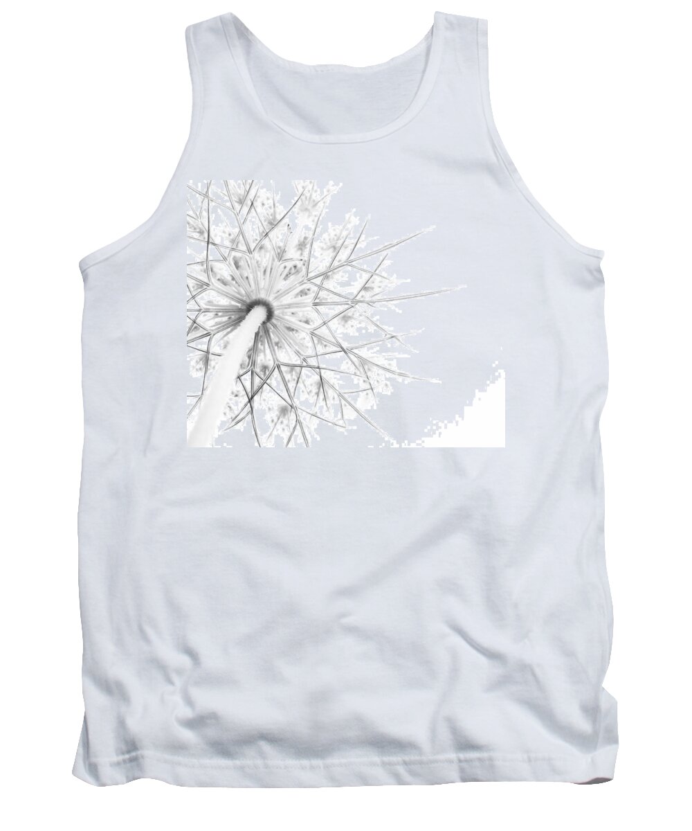 Queen Anne's Lace Tank Top featuring the photograph Summer Snow by Holly Ross
