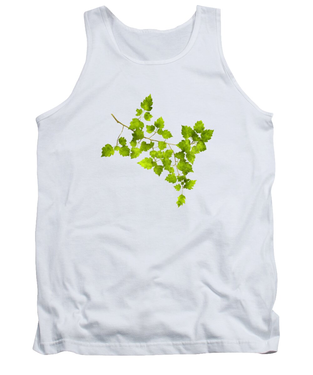 Leaves Tank Top featuring the mixed media Hawthorn Pressed Leaf Art by Christina Rollo