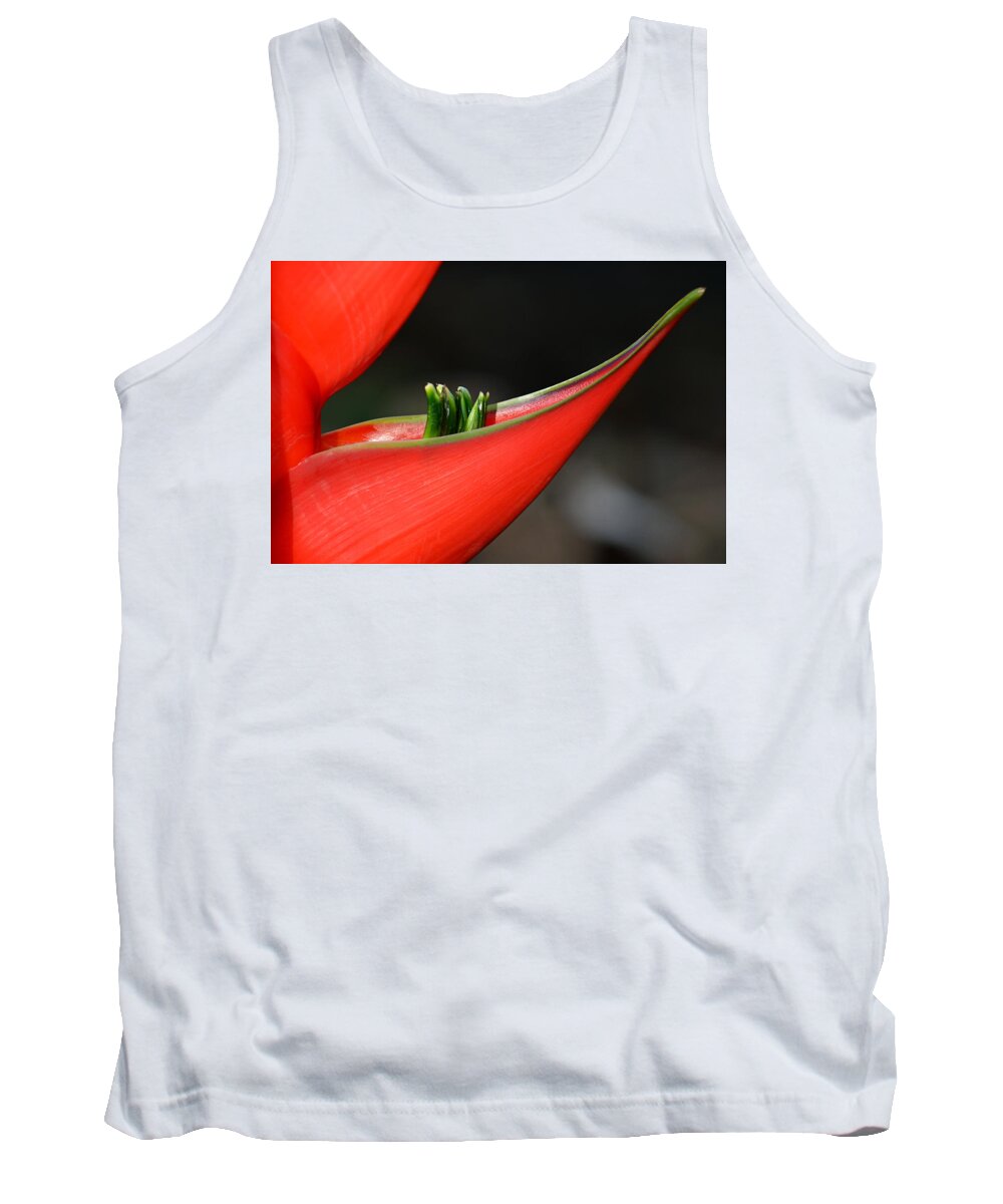 Flower Tank Top featuring the photograph Heliconia Flower Petal by Lorenzo Cassina